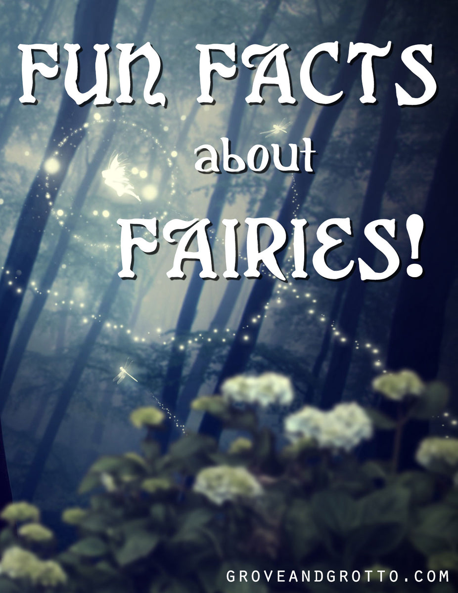 Do Fairies Have Tails?