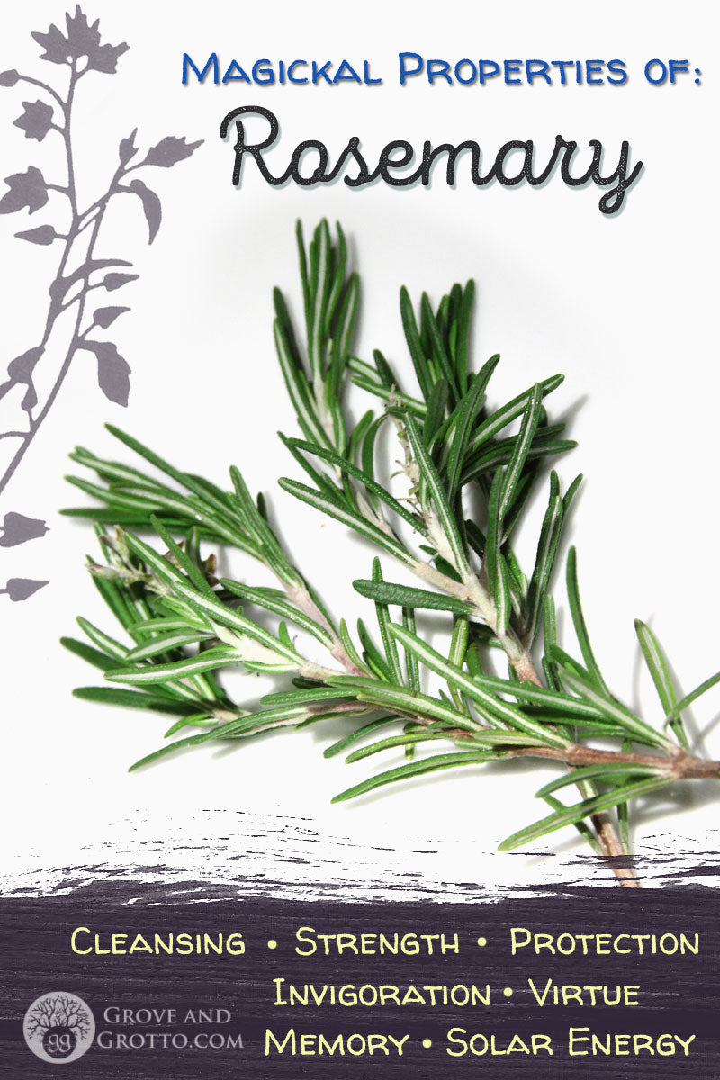 Magickal Properties Of Rosemary – Grove And Grotto