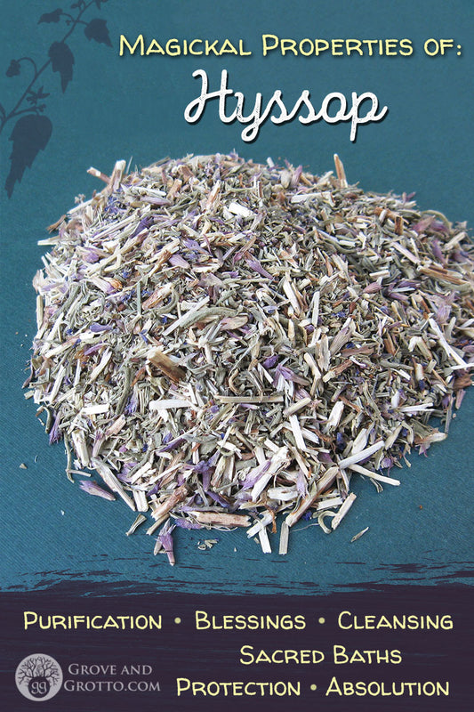 Magickal properties of Hyssop