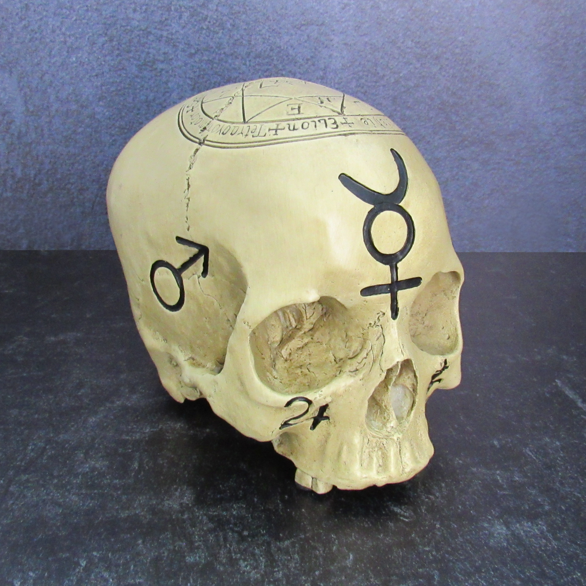 Alchemical Skull