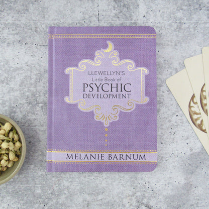 Llewellyn's Little Book of Psychic Development by Melanie Barnum