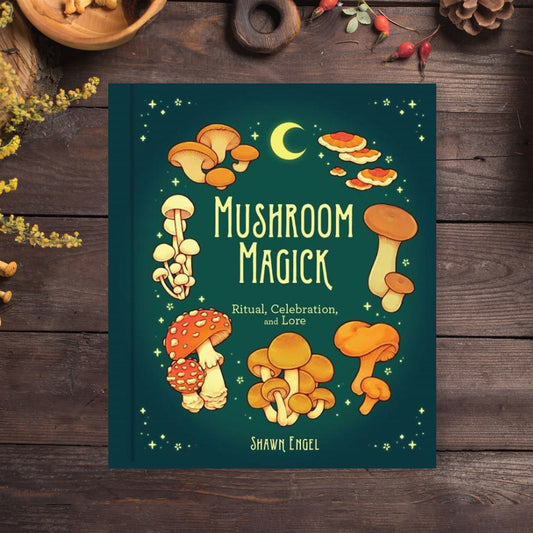 Mushroom Magick by Shawn Engel