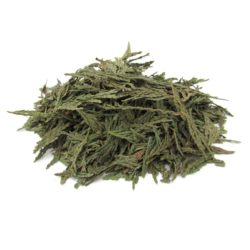 Cedar Tips (1 oz)