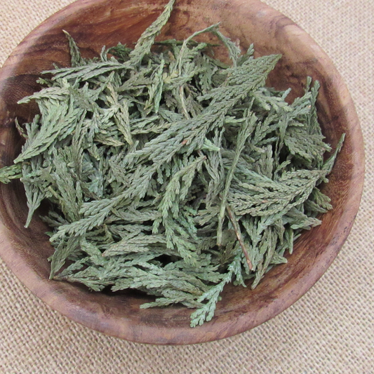 Cedar Tips (1 oz)