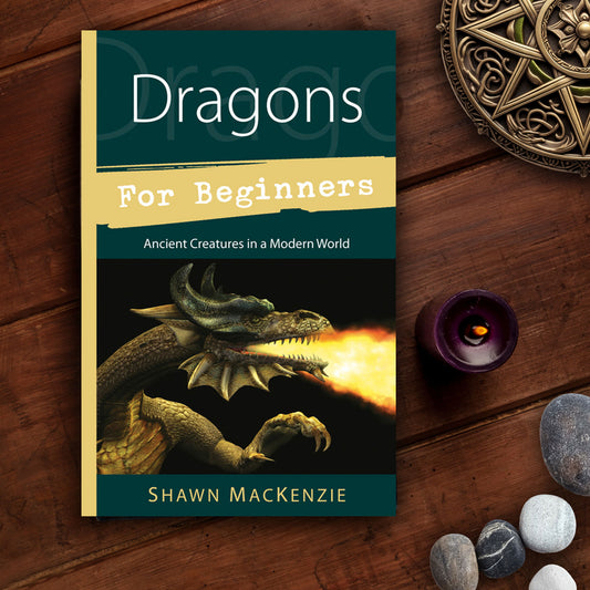 Dragons for Beginners by Shawn MacKenzie