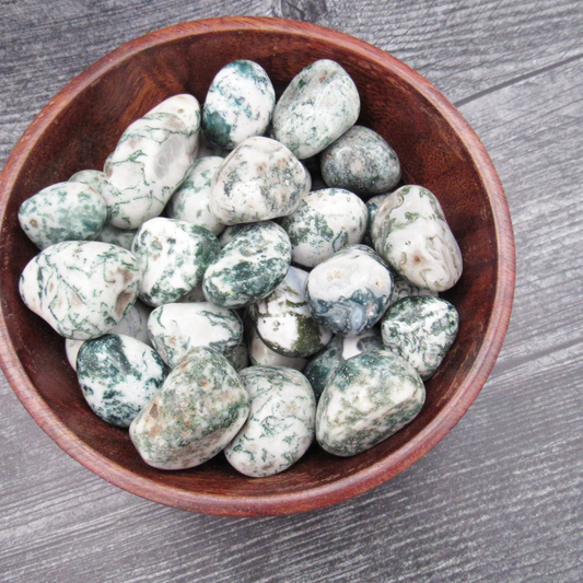 Moss Agate (1 Piece)