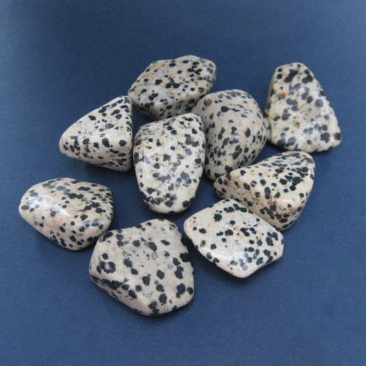 Dalmatian Stone (1 Piece)