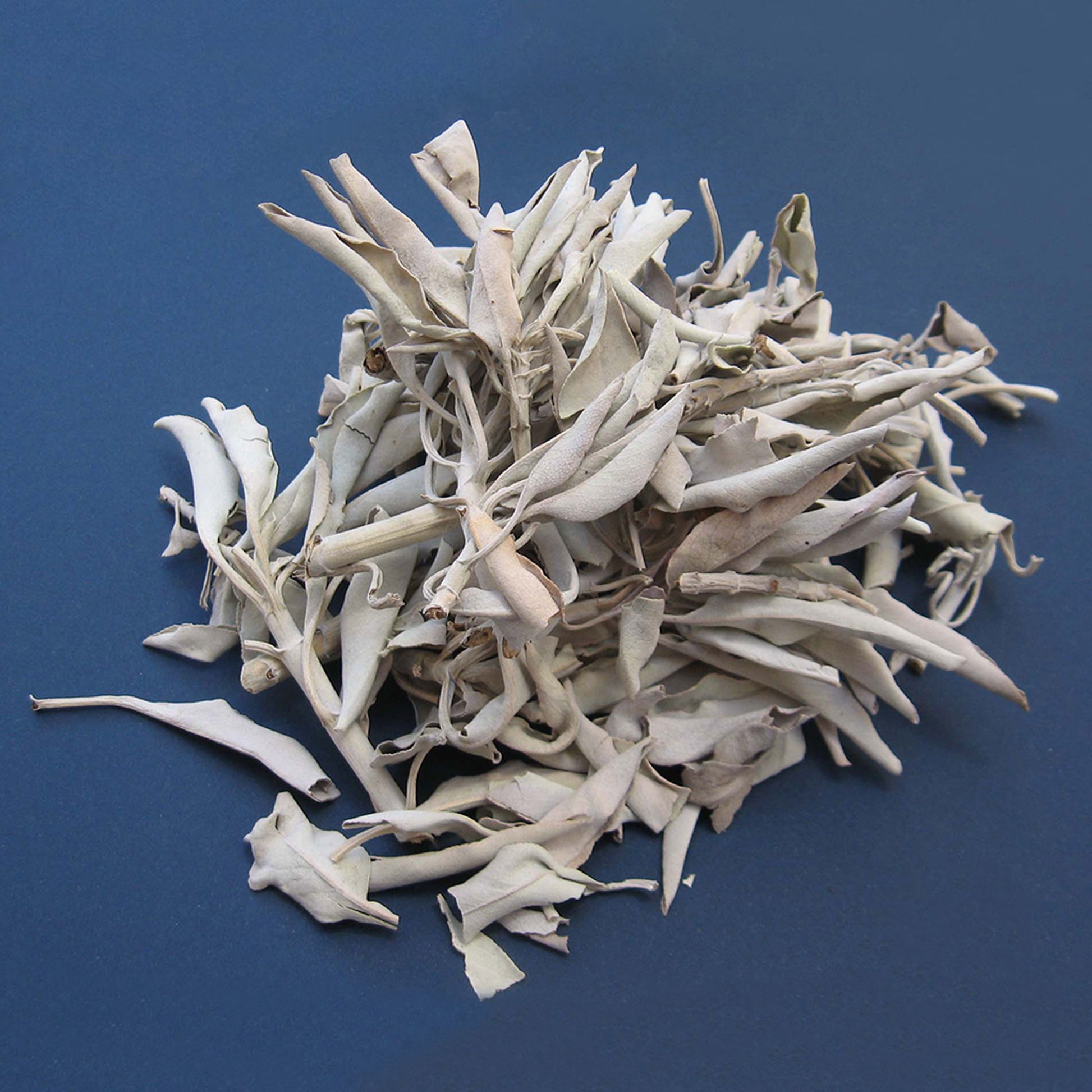 White Sage (1 oz)