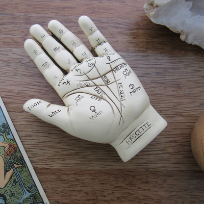 Palmistry Hand with Booklet