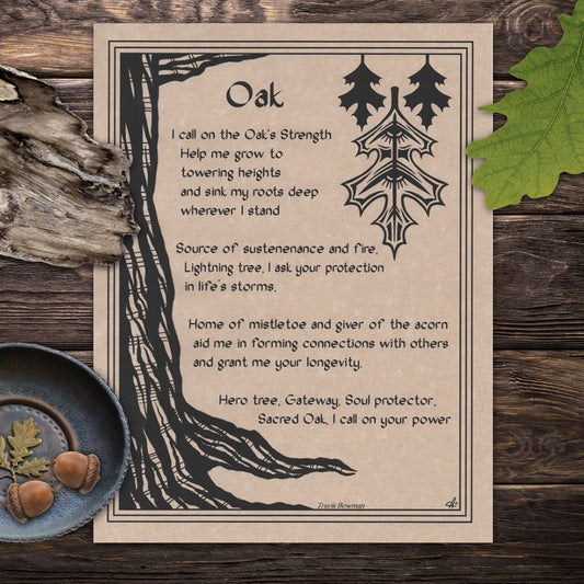 Oak Tree Prayer Parchment Poster (8.5" x 11")