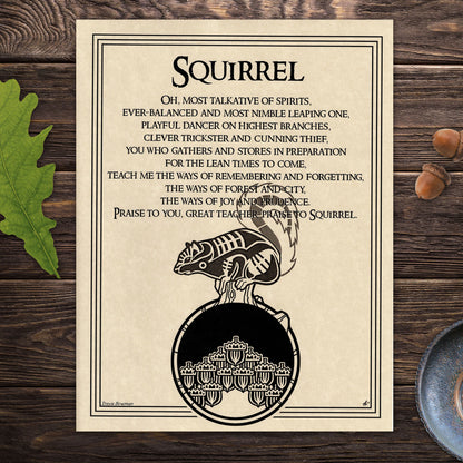 Squirrel Prayer Parchment Poster (8.5" x 11") (Copy)