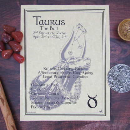 Taurus Parchment Poster (8.5" x 11")