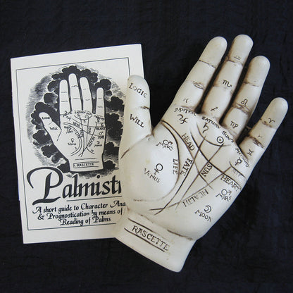 Palmistry Hand with Booklet