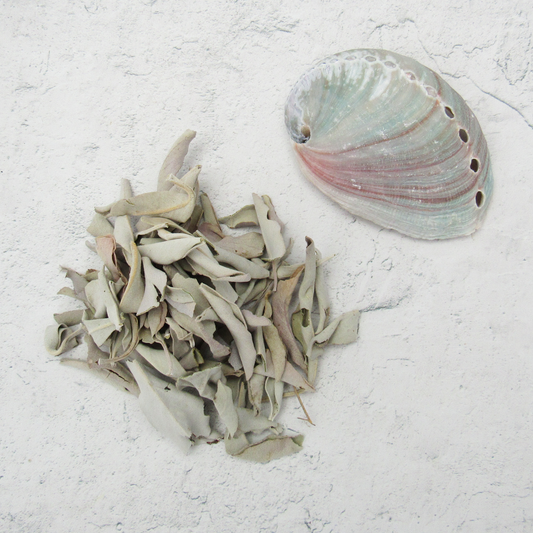 Loose White Sage with Mini Abalone Shell