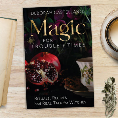 Magic for Troubled Times by Deborah Castellano