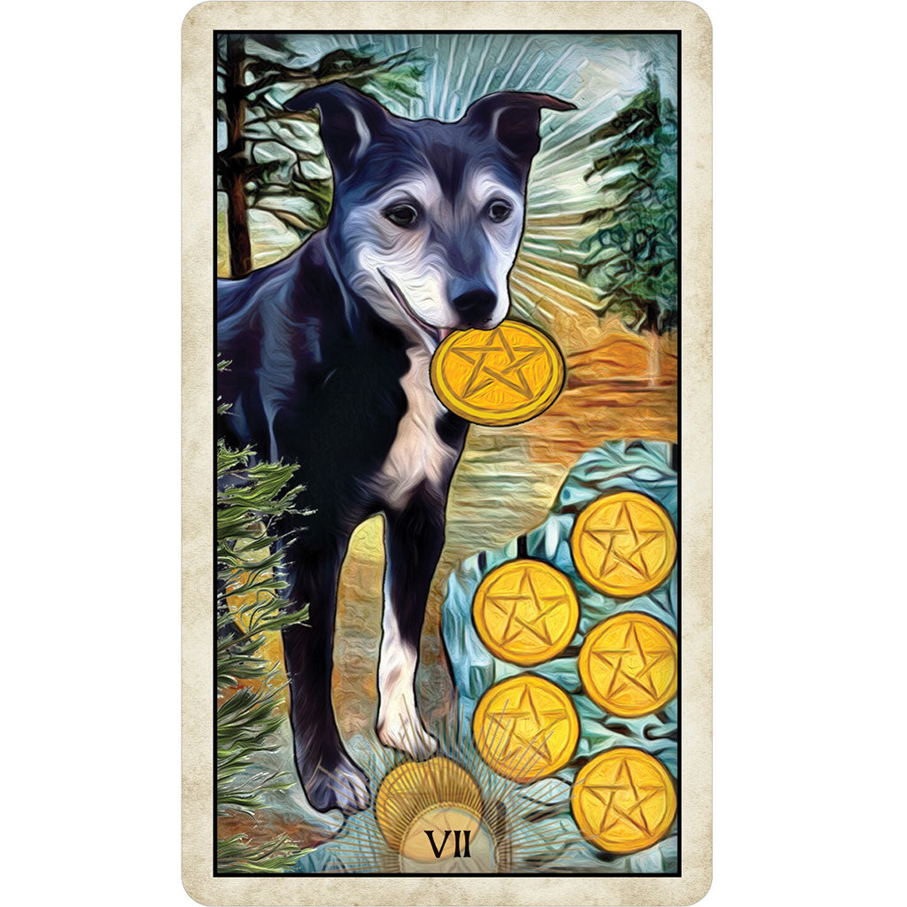 Wise Dog Tarot