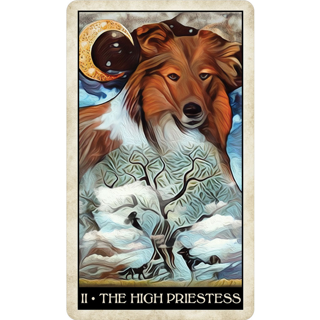 Wise Dog Tarot