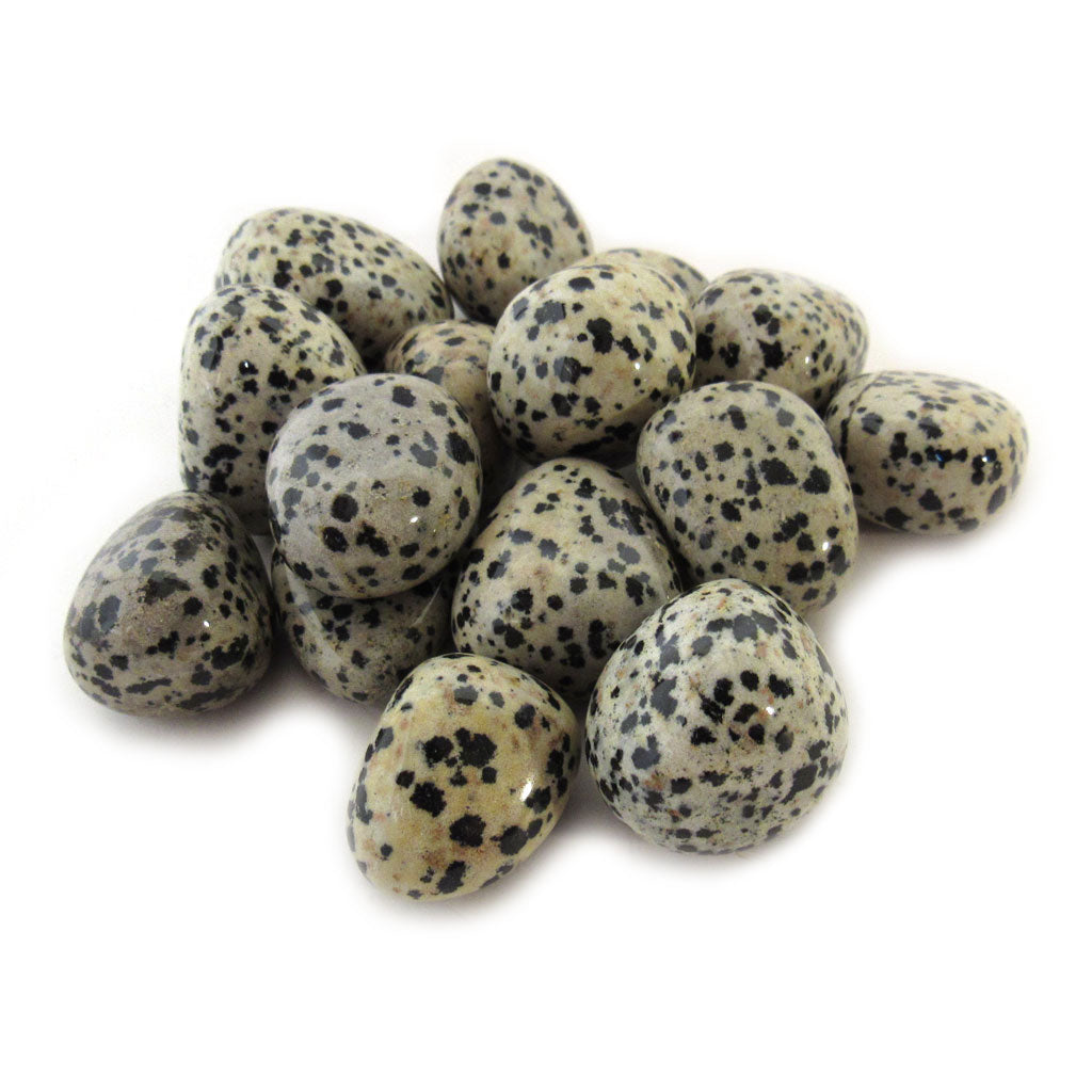 Dalmatian Stone (1 Piece)