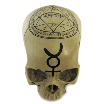 Alchemical Skull