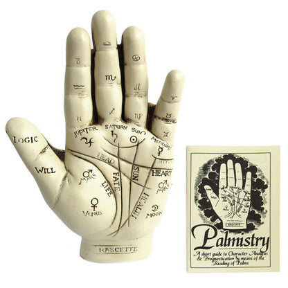 Palmistry Hand with Booklet