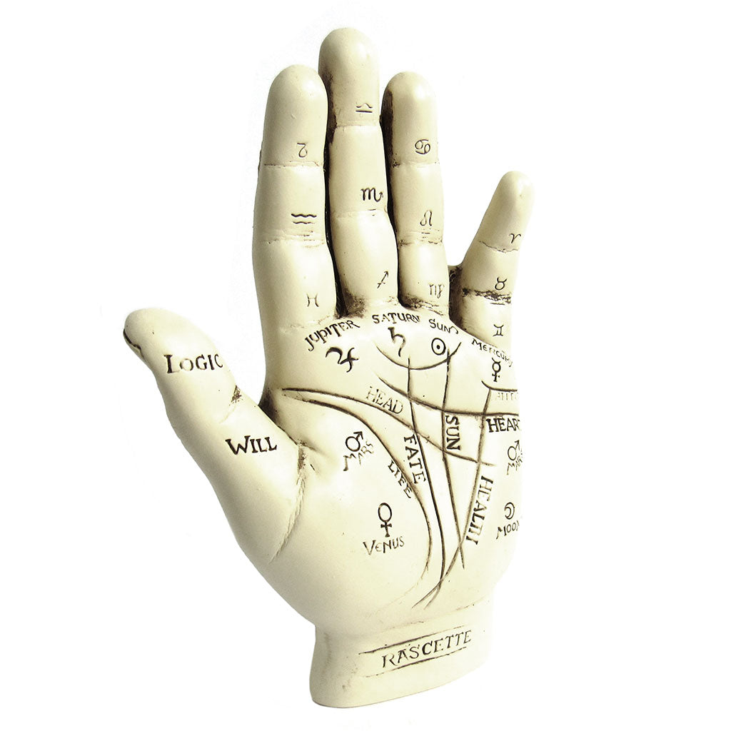 Palmistry Hand with Booklet