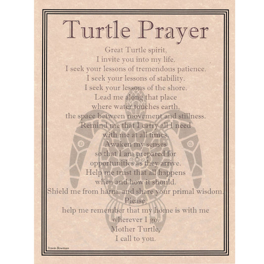 Turtle Prayer Parchment Poster (8.5" x 11")